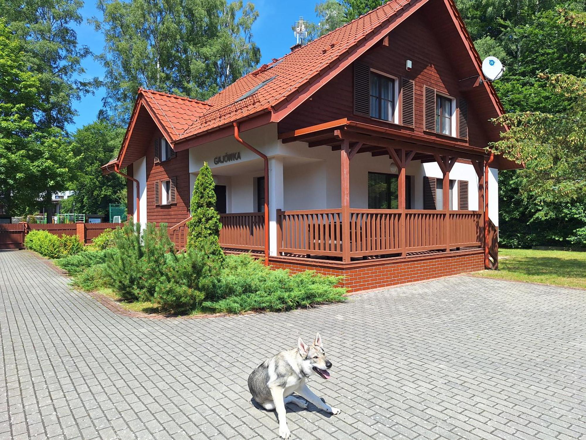 Отель Osrodek Szkoleniowo-Wypoczynkowy "Lesnik" Устка Экстерьер фото